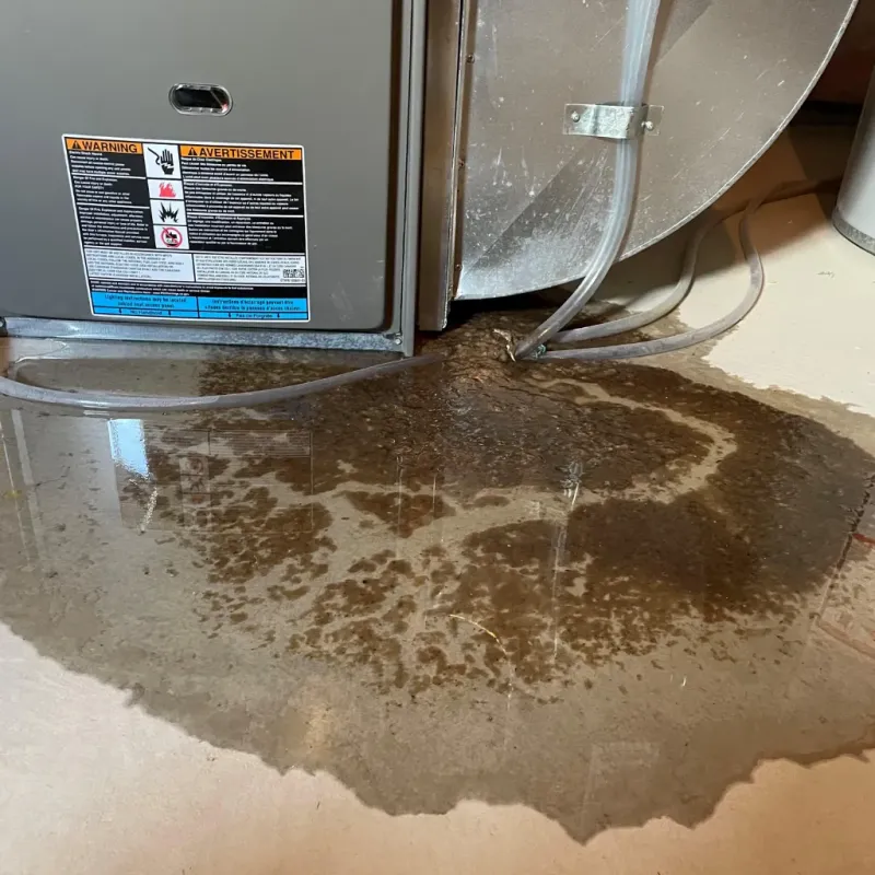 Appliance Leak Cleanup in Reidsville, NC